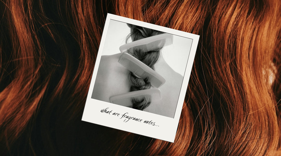 8 Natural Ingredients We Love for Hair Strength and Health