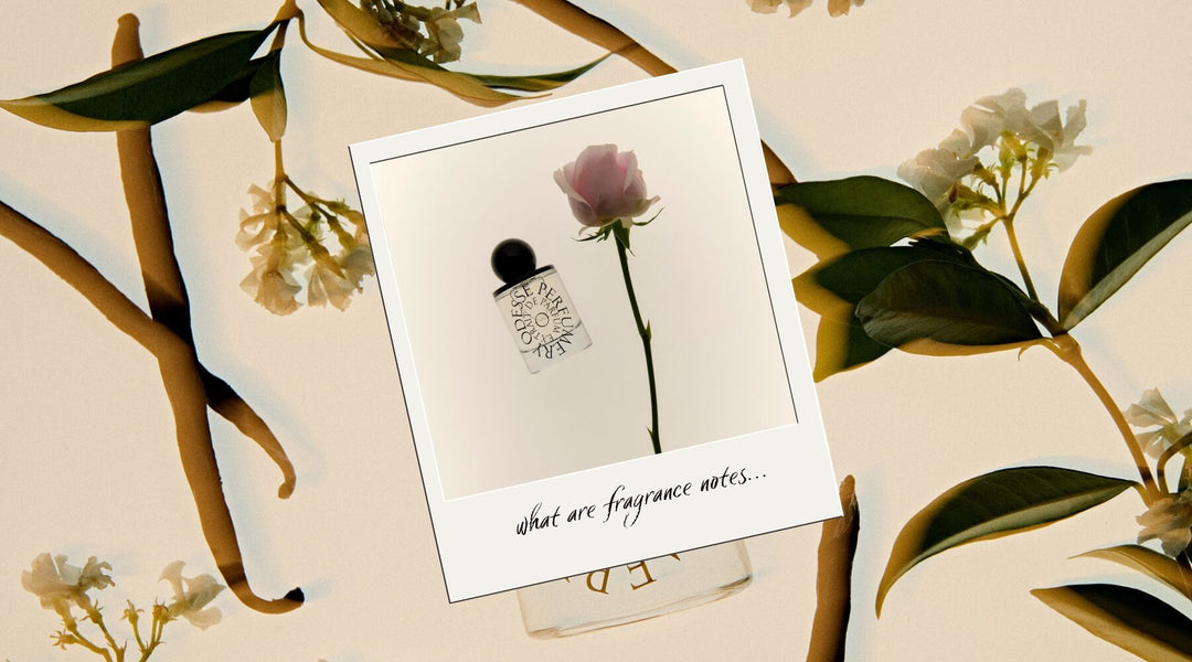what are fragrance notes