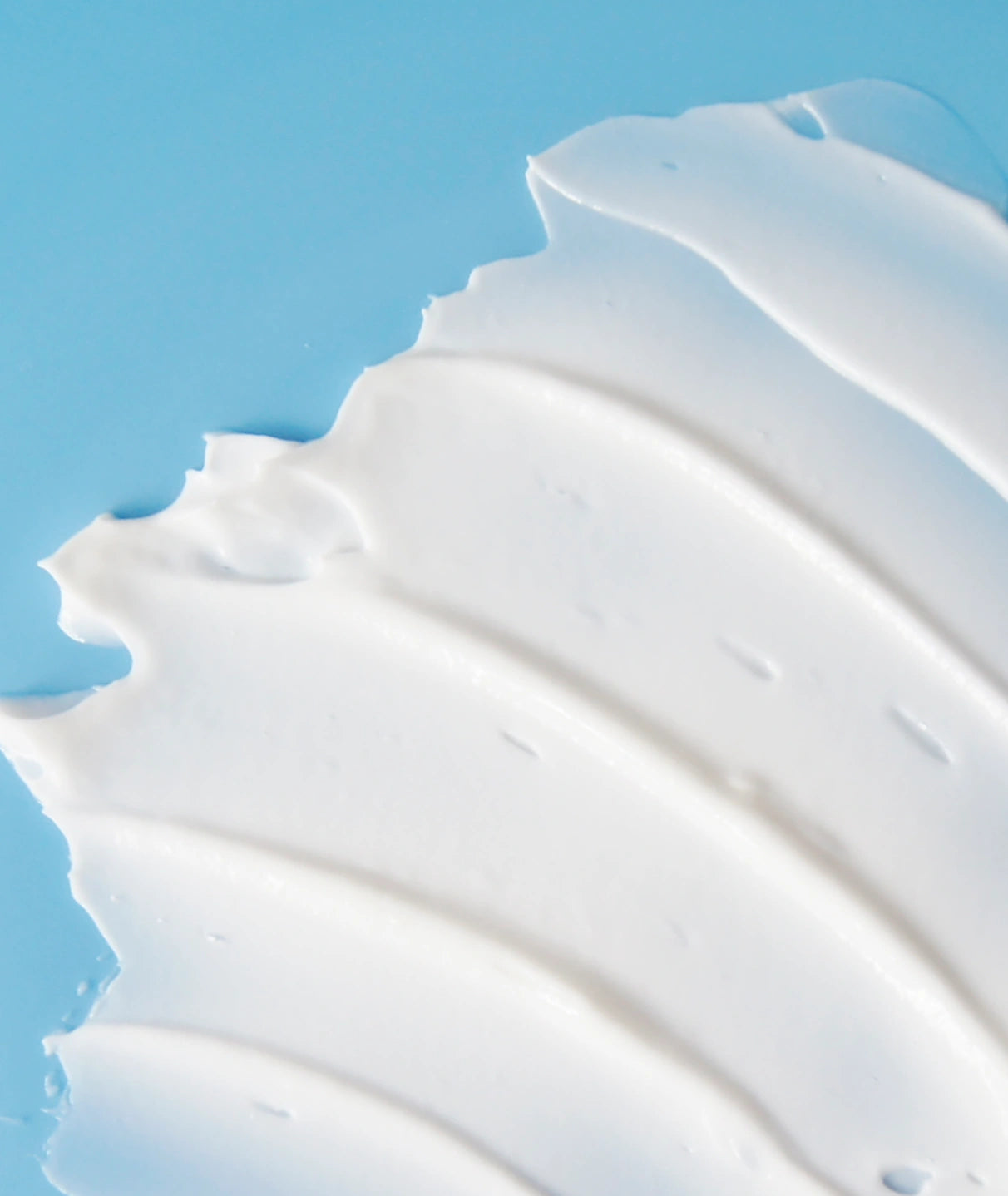 Enbacci Complete Body Firming Lotion rich hydrating texture formulated with Saponaria Officinalis Extract to support firmer, smoother and more elastic-looking skin.