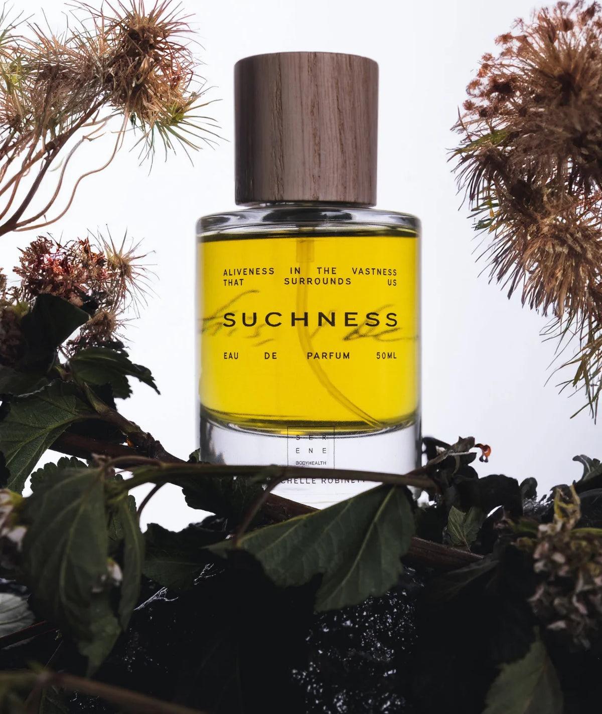 Suchness Eau de Parfum by Serene Bodyhealth — yellow fragrance bottle framed by natural green leaves and dried flora.
