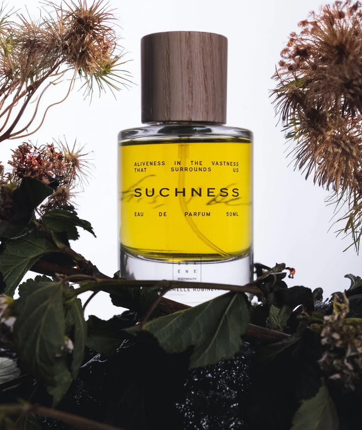 Suchness Eau de Parfum by Serene Bodyhealth — yellow fragrance bottle framed by natural green leaves and dried flora.
